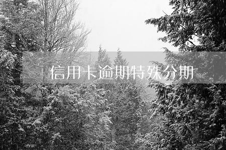 信用卡逾期特殊分期 信用卡逾期特殊分期