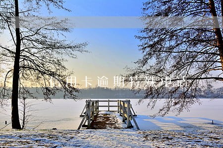 信用卡逾期特殊申请 信用卡逾期特殊申请