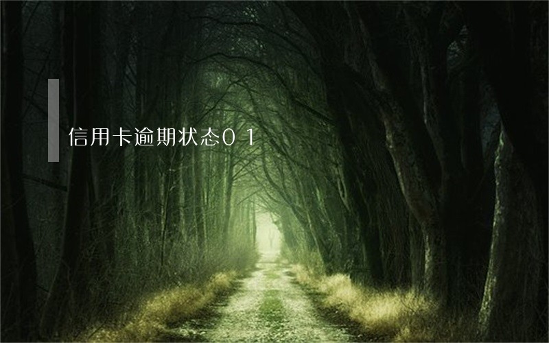 信用卡逾期状态01 信用卡逾期状态01
