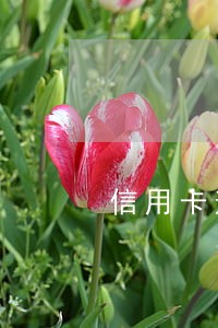 信用卡逾期状态为异常卡 信用卡逾期状态为异常卡