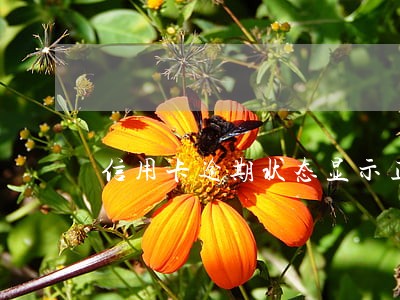 信用卡逾期状态显示正常使用吗 信用卡逾期状态显示正常使用吗