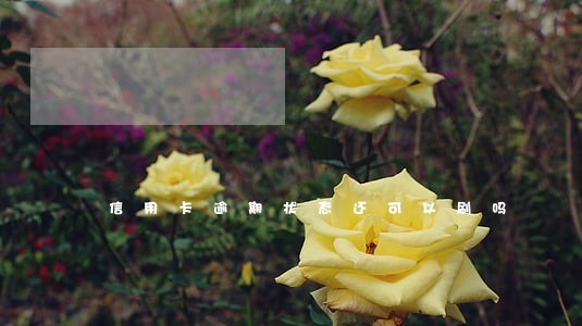 信用卡逾期状态还可以刷吗 信用卡逾期状态还可以刷吗