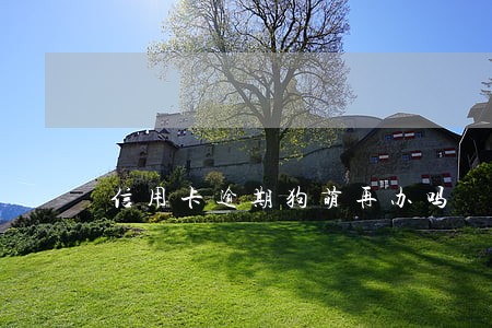 信用卡逾期狗萌再办吗 信用卡逾期狗萌再办吗
