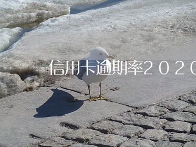 信用卡逾期率2020 信用卡逾期率2020