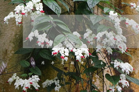 信用卡逾期率不良率 信用卡逾期率不良率
