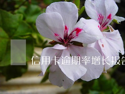 信用卡逾期率增长报告 信用卡逾期率增长报告