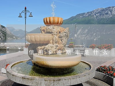 信用卡逾期率是什么 信用卡逾期率是什么