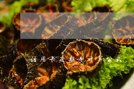 信用卡逾期率计算公式 信用卡逾期率计算公式