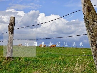 信用卡逾期玩消失 信用卡逾期玩消失