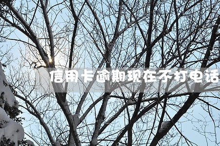 信用卡逾期现在不打电话了