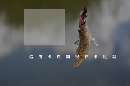 信用卡逾期现在卡过期 信用卡逾期现在卡过期