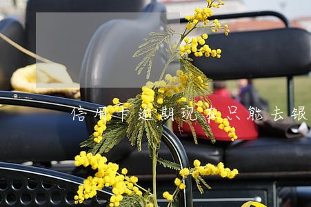 信用卡逾期现在只能去银行还 信用卡逾期现在只能去银行还