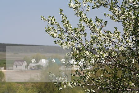 信用卡逾期现在马上上门