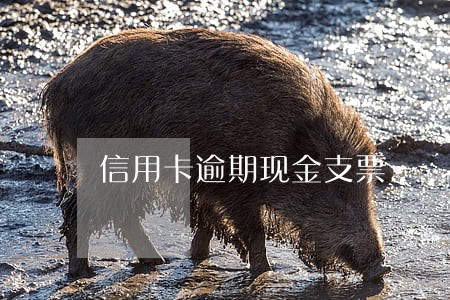 信用卡逾期现金支票