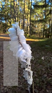 信用卡逾期理由怎么编 信用卡逾期理由怎么编