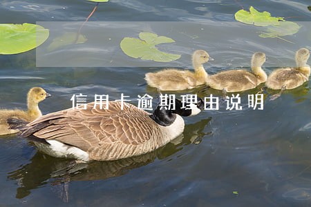 信用卡逾期理由说明 信用卡逾期理由说明