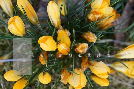 信用卡逾期生意惨淡