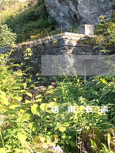 信用卡逾期生成器 信用卡逾期生成器