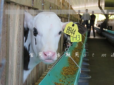 信用卡逾期用atm还款吗 信用卡逾期用atm还款吗
