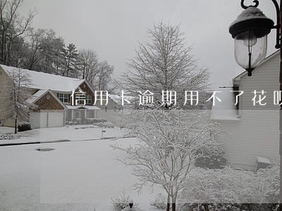 信用卡逾期用不了花呗 信用卡逾期用不了花呗