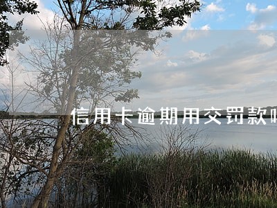 信用卡逾期用交罚款吗