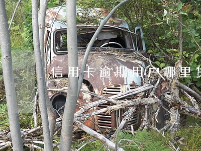 信用卡逾期用户哪里贷款 信用卡逾期用户哪里贷款
