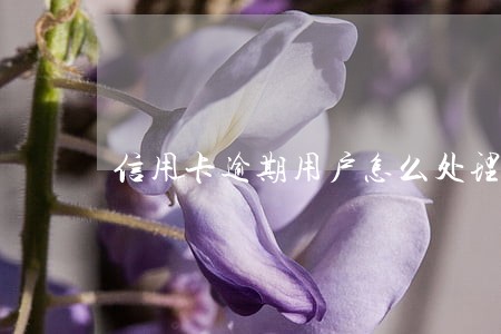 信用卡逾期用户怎么处理上海