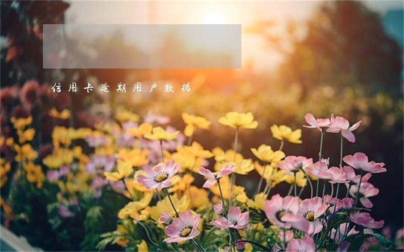 信用卡逾期用户数据