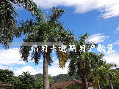 信用卡逾期用户数量 信用卡逾期用户数量