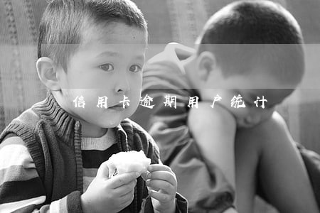 信用卡逾期用户统计 信用卡逾期用户统计