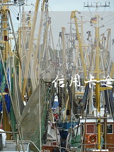信用卡逾期用户能开店吗 信用卡逾期用户能开店吗