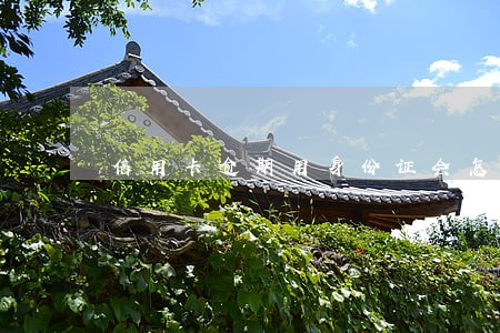信用卡逾期用身份证会怎么样
