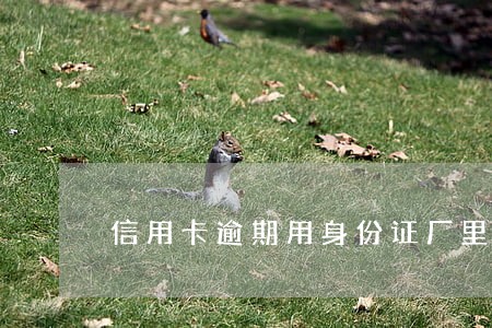 信用卡逾期用身份证厂里上班 信用卡逾期用身份证厂里上班