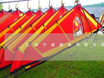 信用卡逾期用驾照住酒店 信用卡逾期用驾照住酒店