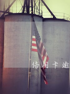 信用卡逾期申报怎么写 信用卡逾期申报怎么写