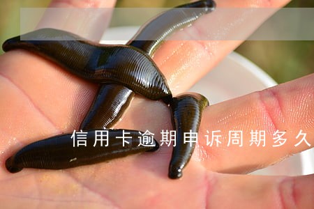 信用卡逾期申诉周期多久