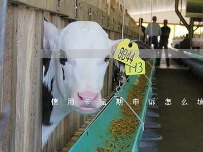 信用卡逾期申诉怎么填 信用卡逾期申诉怎么填