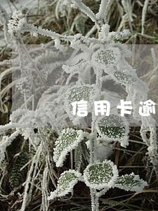 信用卡逾期申诉情况说明
