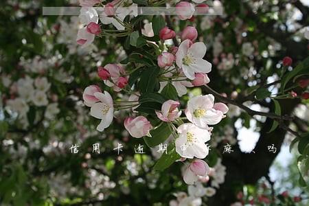 信用卡逾期申诉麻烦吗 信用卡逾期申诉麻烦吗
