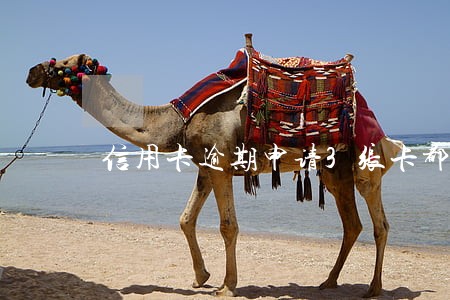 信用卡逾期申请3张卡都过了 信用卡逾期申请3张卡都过了