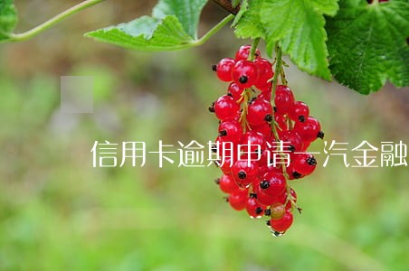 信用卡逾期申请一汽金融 信用卡逾期申请一汽金融
