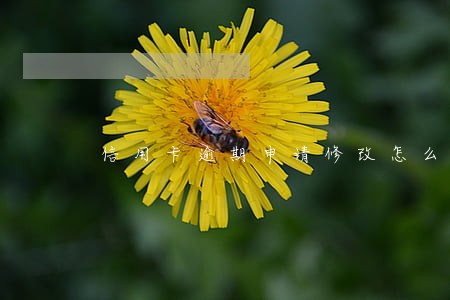 信用卡逾期申请修改怎么写 信用卡逾期申请修改怎么写