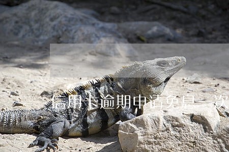 信用卡逾期申请免息一次性还款 信用卡逾期申请免息一次性还款