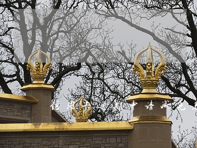 信用卡逾期申请减免怎么写 信用卡逾期申请减免怎么写