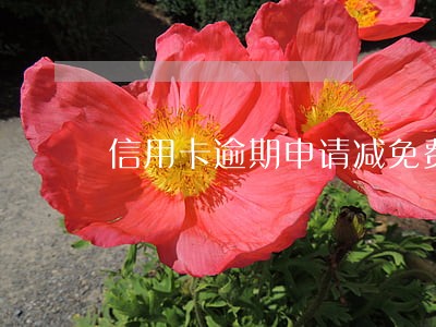 信用卡逾期申请减免费用技巧