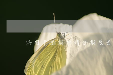 信用卡逾期申请分期总是失败 信用卡逾期申请分期总是失败