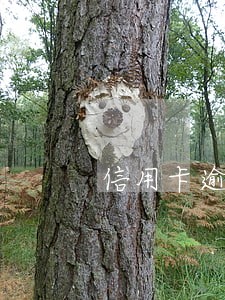 信用卡逾期申请分期打什么电话 信用卡逾期申请分期打什么电话