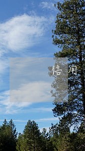 信用卡逾期申请分期技巧