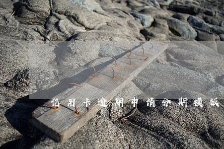 信用卡逾期申请分期模板 信用卡逾期申请分期模板