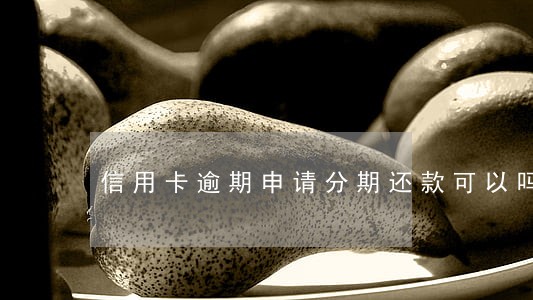 信用卡逾期申请分期还款可以吗 信用卡逾期申请分期还款可以吗